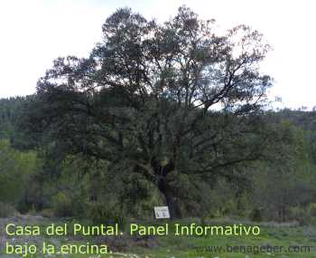 Panel Informativo en las Casas del Puntal o Casas Ximenez, Sendero de la Atalaya 