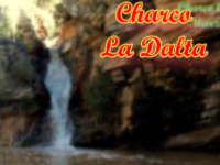 El CharcO La Dalta, sitios especiales en Benagéber